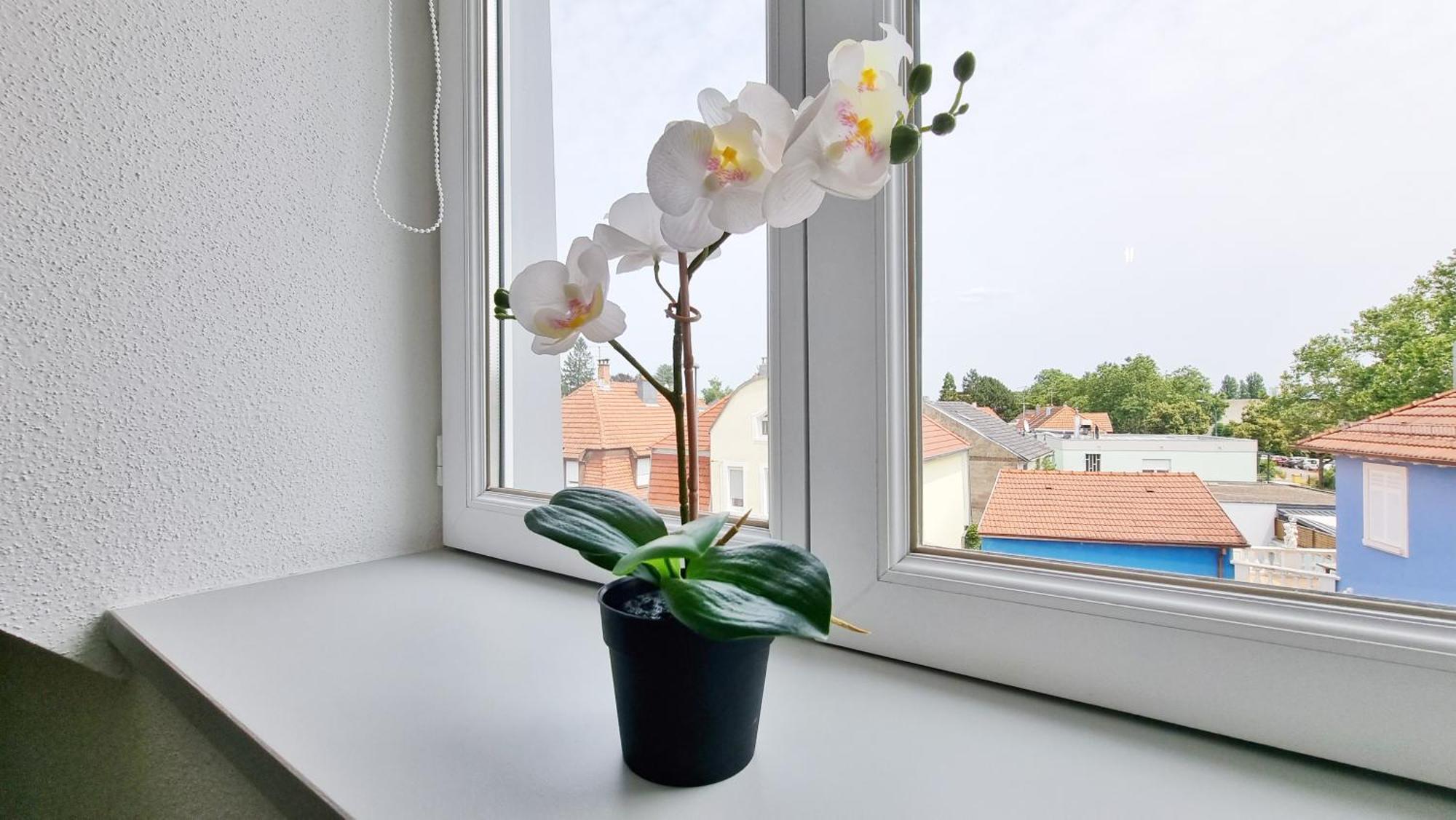 Le Triplex - 5 Chambres - 10 Pers- Fibre - Relax Bnb Mulhouse Buitenkant foto